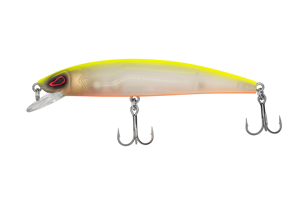 Arrow Minnow