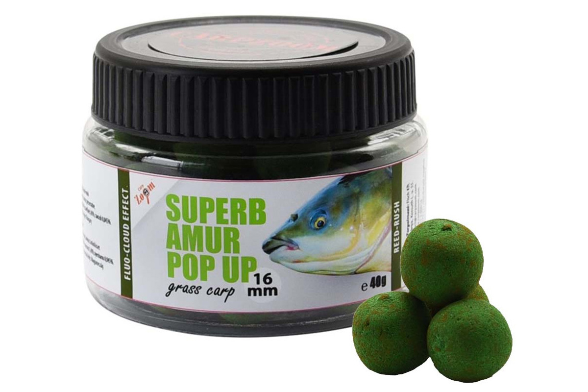 Amur Superb Pop Up